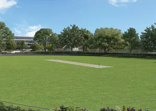 cricket-ground
